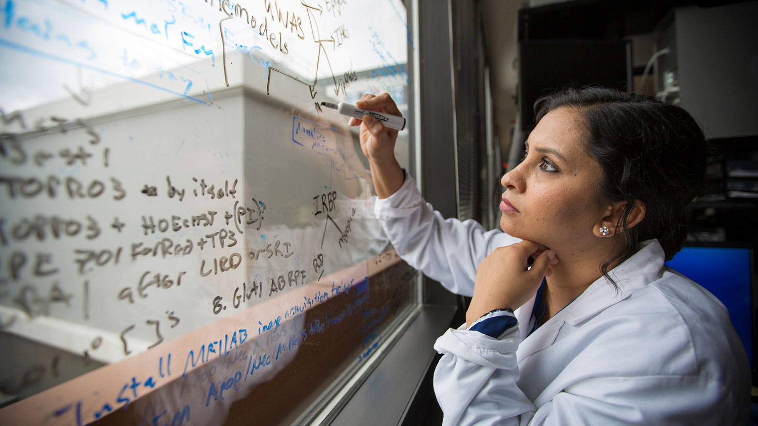 researcher writing information and formulas on a window