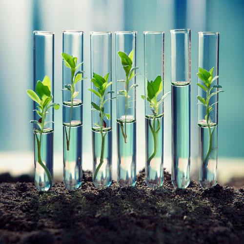 AI generated image of tiny plants growing in test tubes