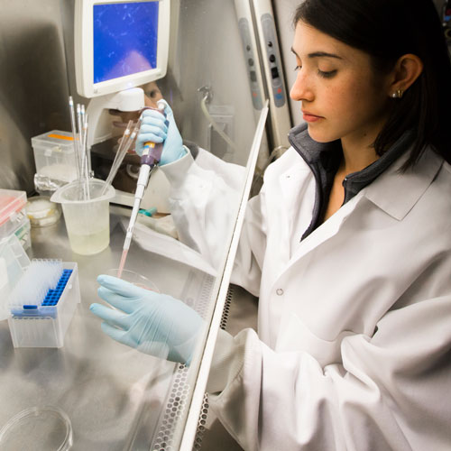 Laura Gutierrez Quiceno testing with a pipette in Hales Laboratory