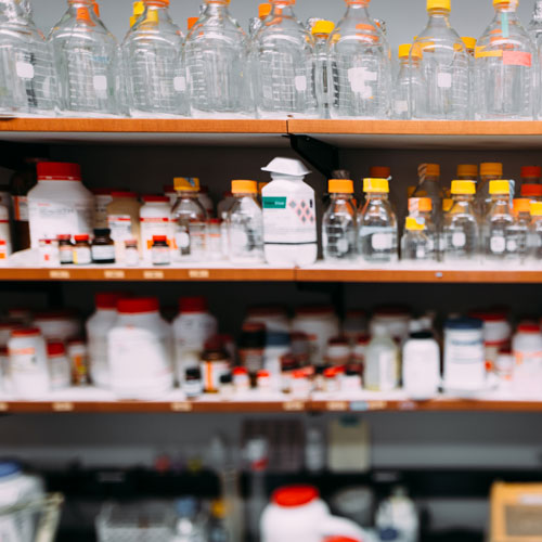 Shelves in a laboratory lined with many bottles