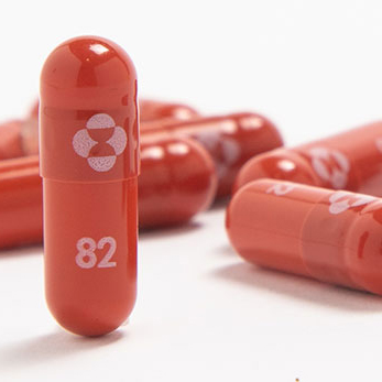 pills of molnupiravir medication